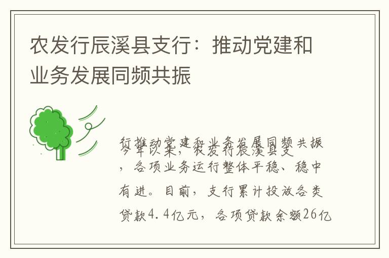 农发行辰溪县支行：推动党建和业务发展同频共振