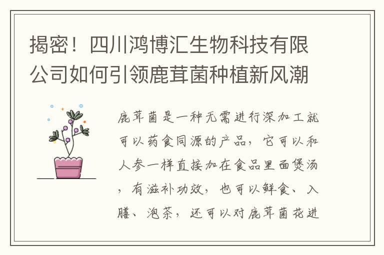 揭密！四川鸿博汇生物科技有限公司如何引领鹿茸菌种植新风潮？