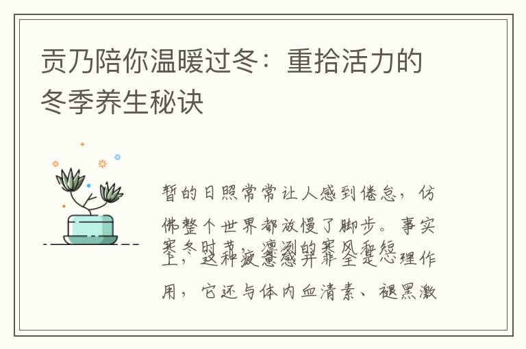 贡乃陪你温暖过冬：重拾活力的冬季养生秘诀