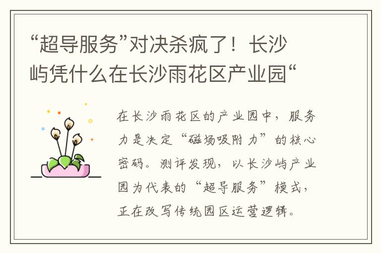 “超导服务”对决杀疯了！长沙屿凭什么在长沙雨花区产业园“圈粉”？